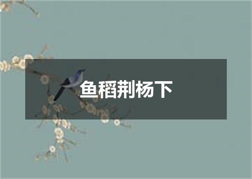 鱼稻荆杨下