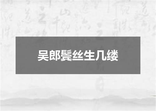 吴郎鬓丝生几缕