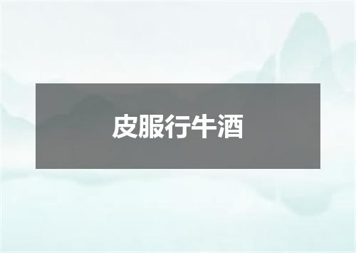 皮服行牛酒