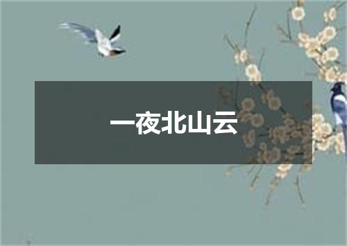 一夜北山云