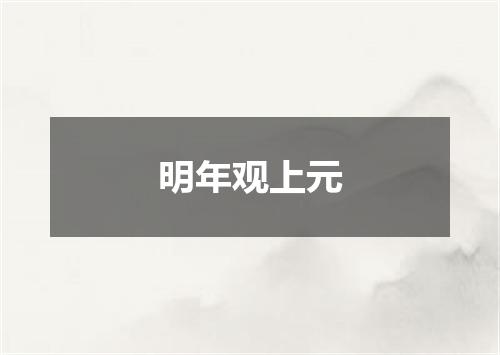 明年观上元