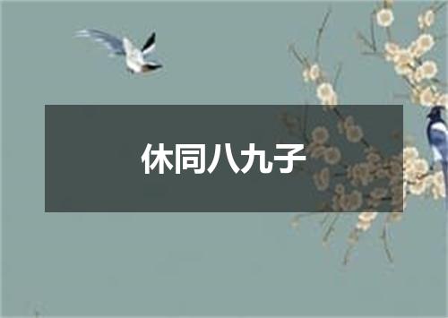 休同八九子