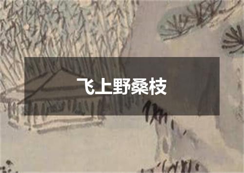 飞上野桑枝