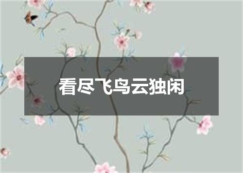 看尽飞鸟云独闲