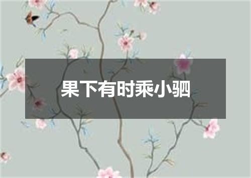 果下有时乘小驷
