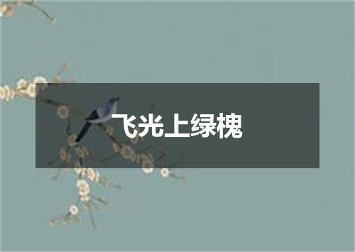 飞光上绿槐