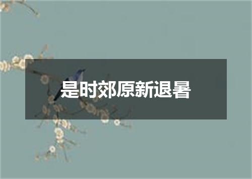 是时郊原新退暑