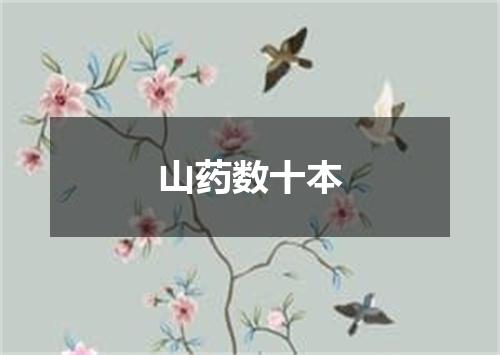 山药数十本