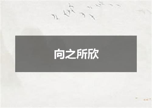 向之所欣