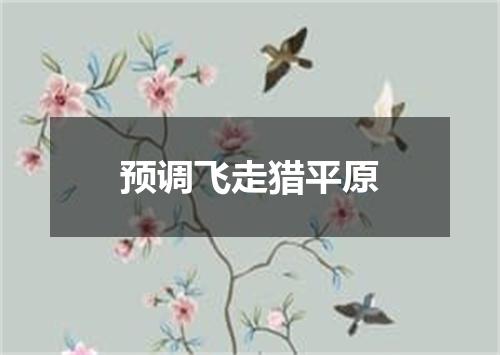 预调飞走猎平原