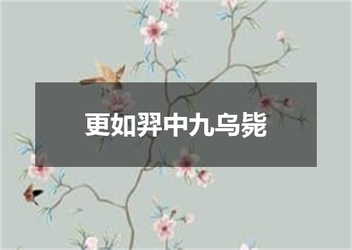 更如羿中九乌毙
