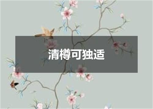 清樽可独适