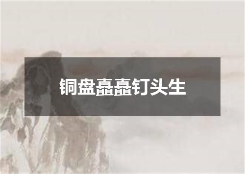 铜盘矗矗钉头生