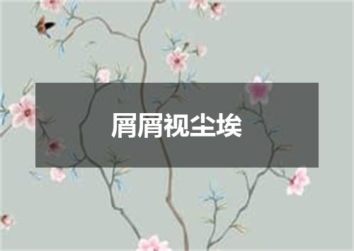 屑屑视尘埃