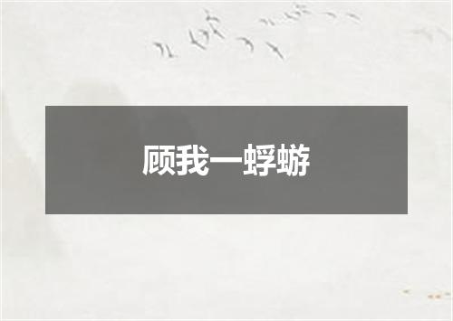 顾我一蜉蝣
