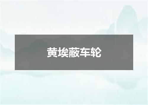 黄埃蔽车轮