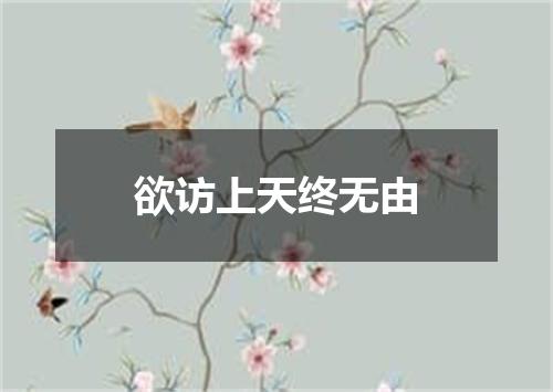 欲访上天终无由