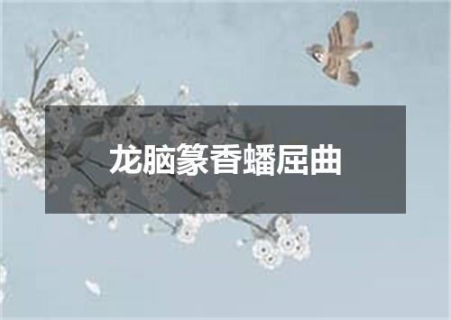 龙脑篆香蟠屈曲