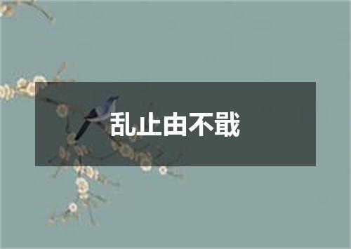乱止由不戢