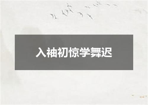 入袖初惊学舞迟