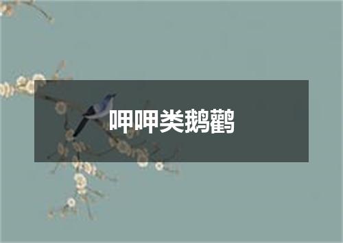 呷呷类鹅鹳