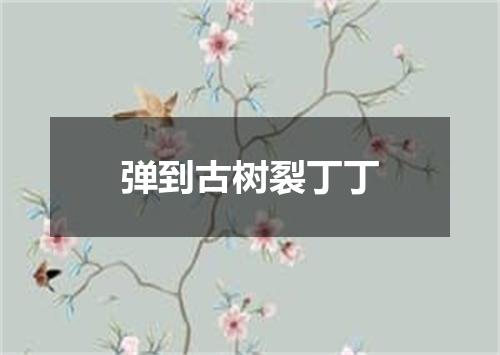 弹到古树裂丁丁