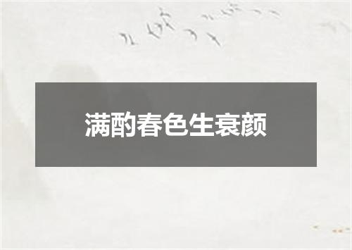 满酌春色生衰颜