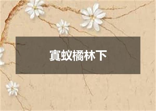 寘蚁橘林下