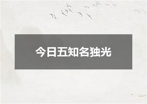 今日五知名独光
