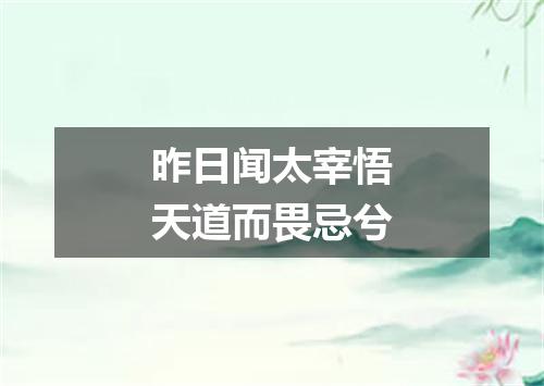 昨日闻太宰悟天道而畏忌兮