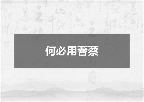 何必用蓍蔡