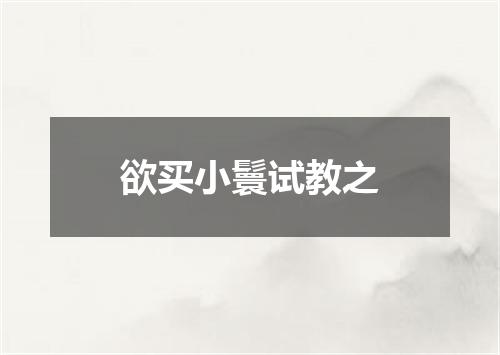 欲买小鬟试教之