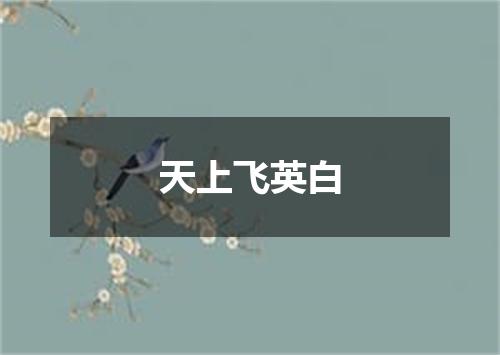 天上飞英白