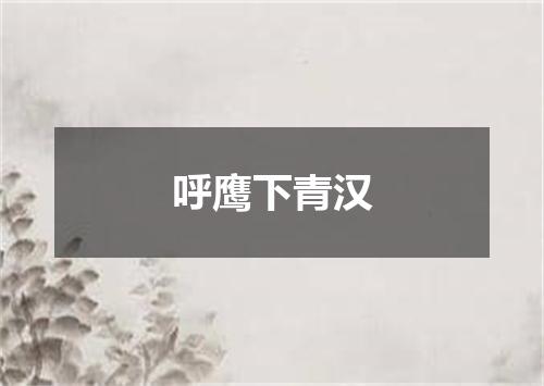 呼鹰下青汉