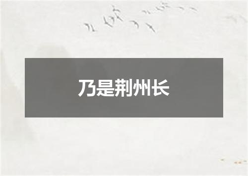 乃是荆州长