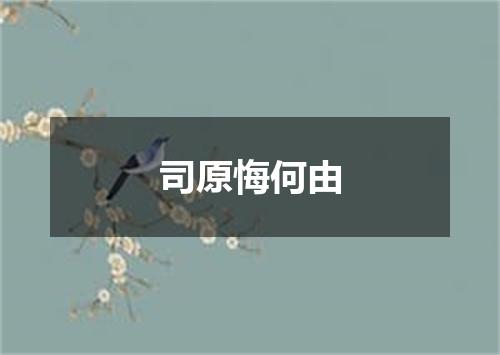司原悔何由