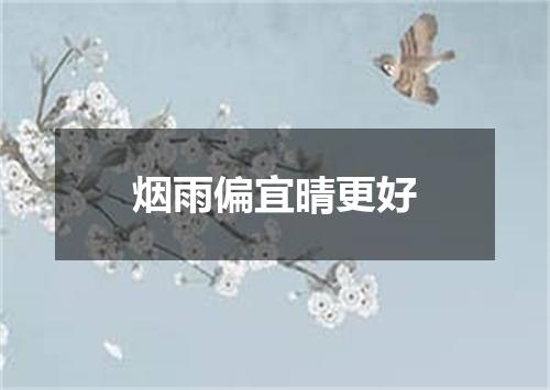 烟雨偏宜晴更好