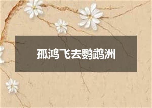 孤鸿飞去鹦鹉洲