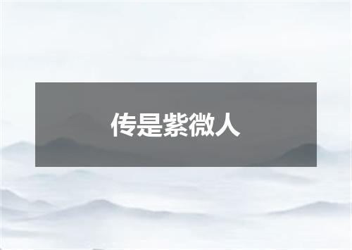 传是紫微人