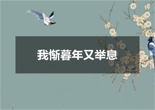 我惭暮年又举息
