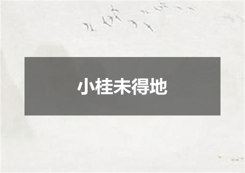 小桂未得地
