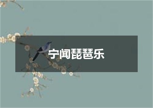 宁闻琵琶乐