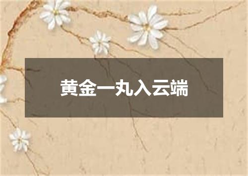 黄金一丸入云端