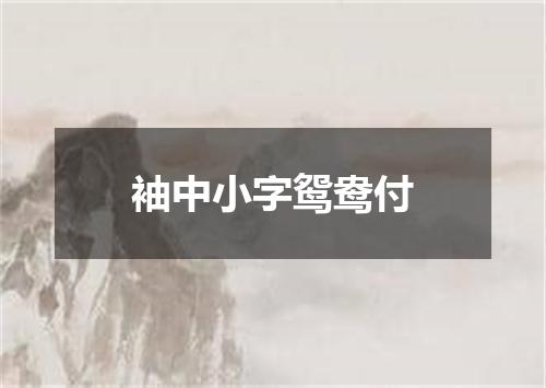 袖中小字鸳鸯付