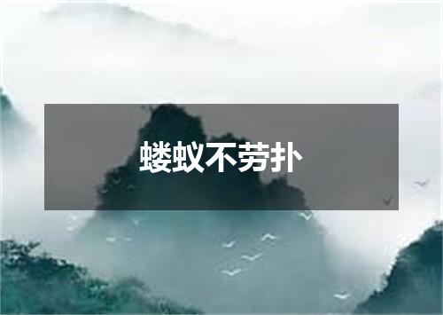 蝼蚁不劳扑