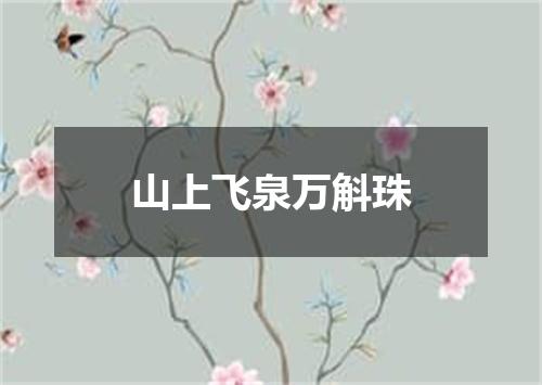 山上飞泉万斛珠
