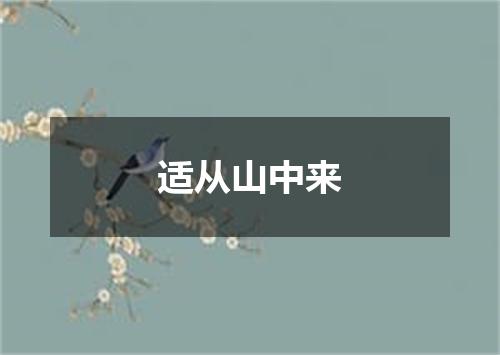 适从山中来