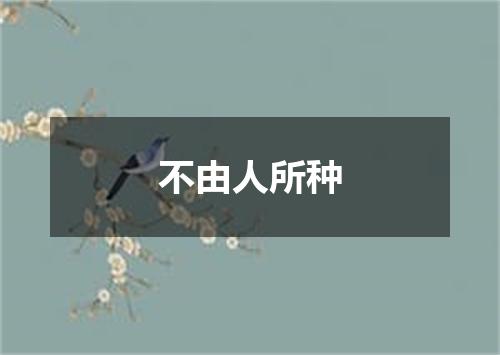 不由人所种