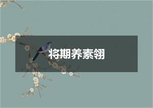 将期养素翎
