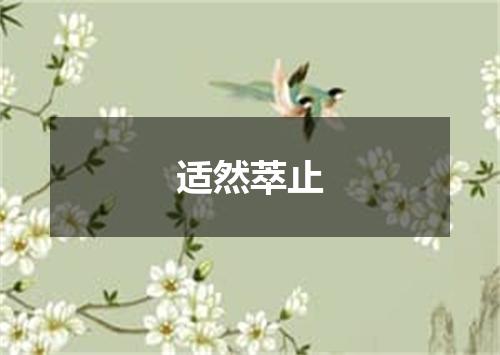 适然萃止